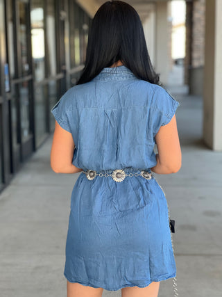 Lilly denim dress